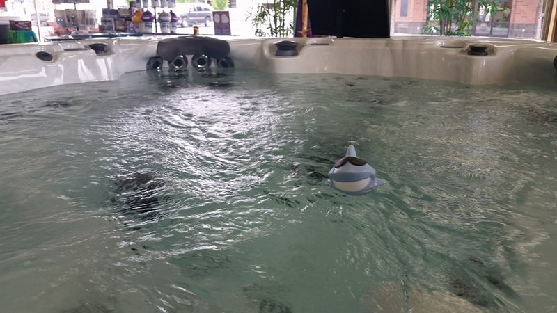 Welcome to our blog!  The latest in Central Oregon pool and spa news.